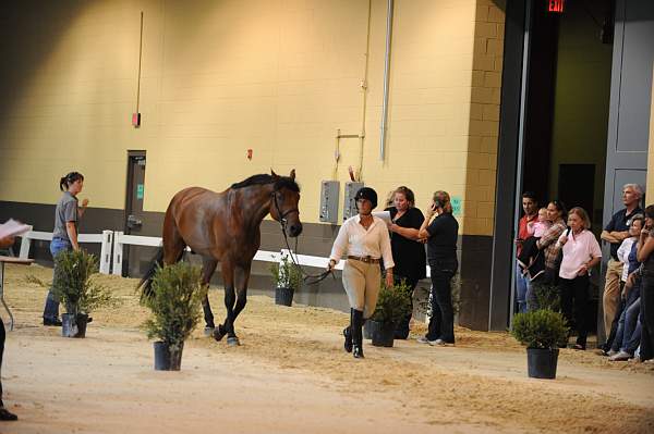 USHJA-Derby-8-19-10-Jog-DER_6914-DDeRosaPhoto.JPG