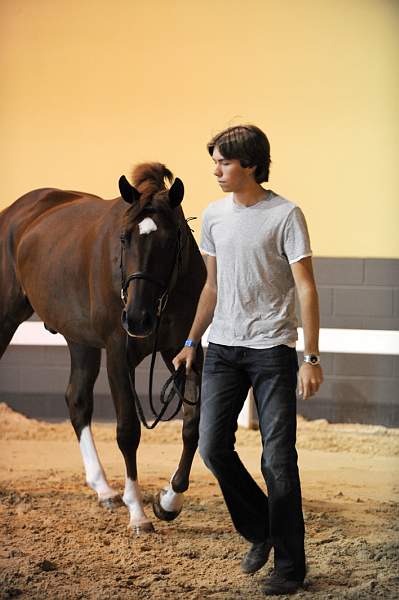 USHJA-Derby-8-19-10-Jog-DER_6933-DDeRosaPhoto.jpg