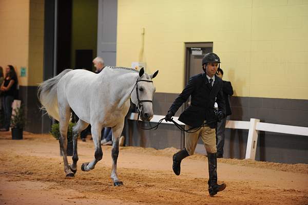 USHJA-Derby-8-19-10-Jog-DER_6943-DDeRosaPhoto.JPG