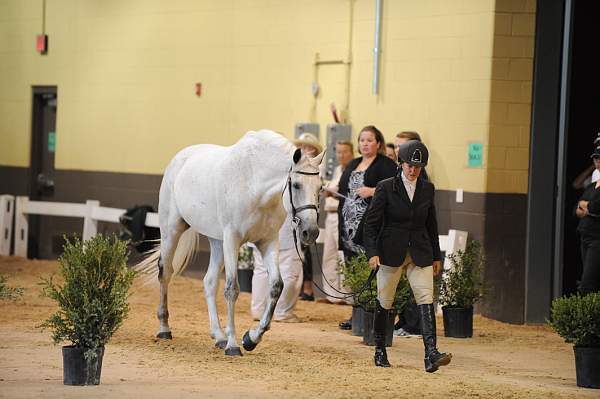 USHJA-Derby-8-19-10-Jog-DER_6975-DDeRosaPhoto.JPG