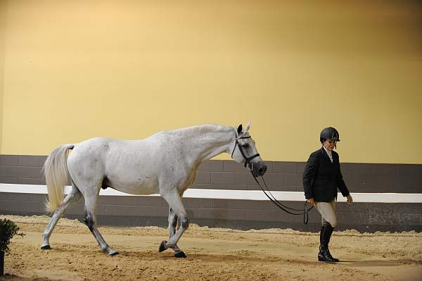 USHJA-Derby-8-19-10-Jog-DER_6979-DDeRosaPhoto.JPG