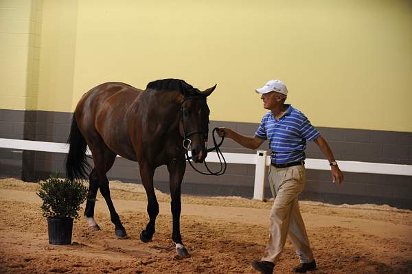 USHJA-Derby-8-19-10-Jog-DER_6994-DDeRosaPhoto.JPG