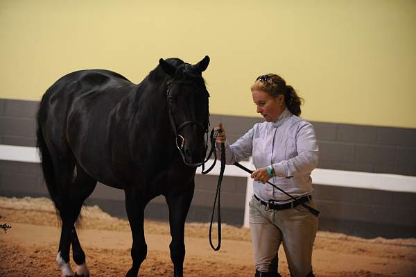 USHJA-Derby-8-19-10-Jog-DER_7008-DDeRosaPhoto.JPG