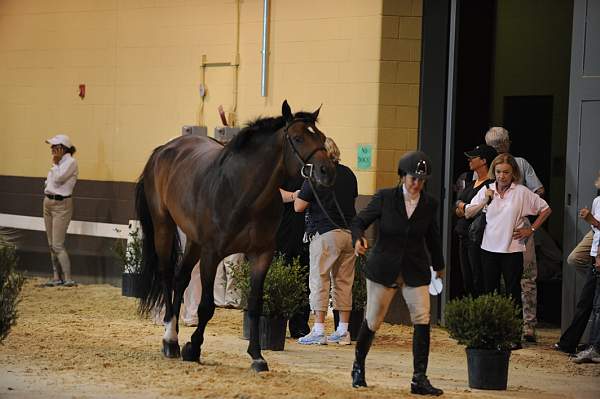 USHJA-Derby-8-19-10-Jog-DER_7009-DDeRosaPhoto.JPG