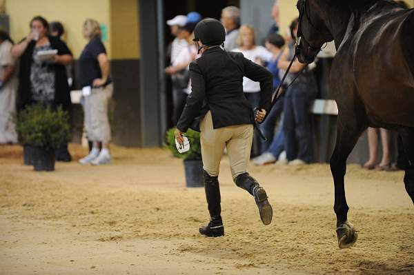 USHJA-Derby-8-19-10-Jog-DER_7014-DDeRosaPhoto.JPG