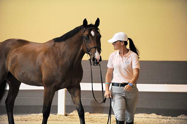 USHJA-Derby-8-19-10-Jog-DER_7032-DDeRosaPhoto.jpg