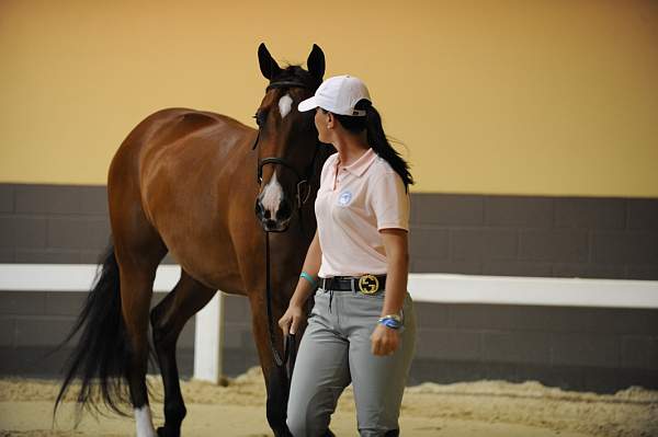 USHJA-Derby-8-19-10-Jog-DER_7033-DDeRosaPhoto.JPG