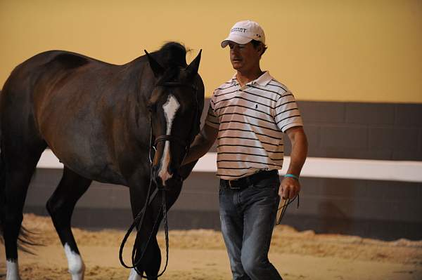 USHJA-Derby-8-19-10-Jog-DER_7069-DDeRosaPhoto.JPG