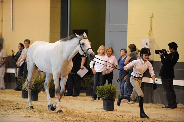 USHJA-Derby-8-19-10-Jog-DER_7109-DDeRosaPhoto.JPG