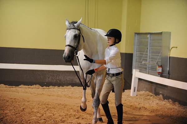 USHJA-Derby-8-19-10-Jog-DER_7112-DDeRosaPhoto.JPG