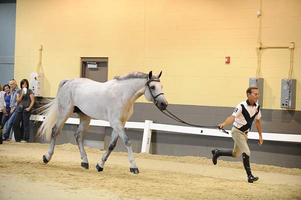 USHJA-Derby-8-19-10-Jog-DER_7116-DDeRosaPhoto.JPG