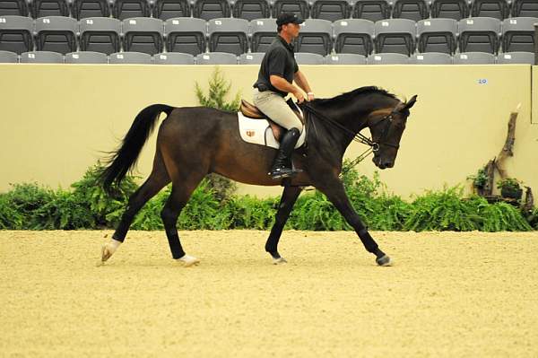 USHJA-Derby-8-19-10-Schooling-DER_6689-DDeRosaPhoto.jpg