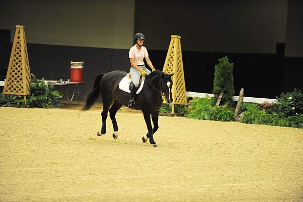 USHJA-Derby-8-19-10-Schooling-DER_6690-DDeRosaPhoto.jpg