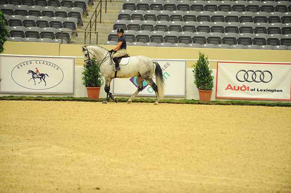 USHJA-Derby-8-19-10-Schooling-DER_6709-DDeRosaPhoto.JPG