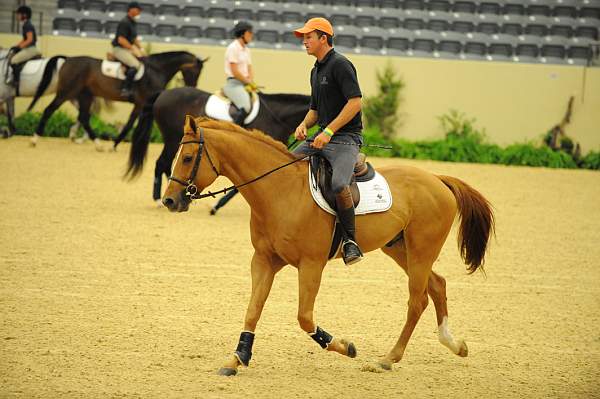 USHJA-Derby-8-19-10-Schooling-DER_6710-DDeRosaPhoto.JPG