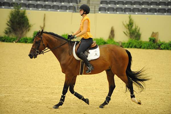 USHJA-Derby-8-19-10-Schooling-DER_6711-DDeRosaPhoto.JPG