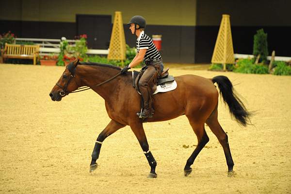 USHJA-Derby-8-19-10-Schooling-DER_6740-DDeRosaPhoto.JPG