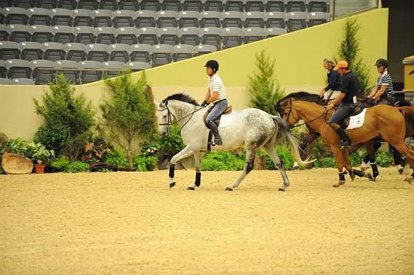 USHJA-Derby-8-19-10-Schooling-DER_6759-DDeRosaPhoto.JPG