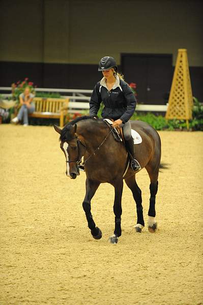 USHJA-Derby-8-19-10-Schooling-DER_6760-DDeRosaPhoto.JPG