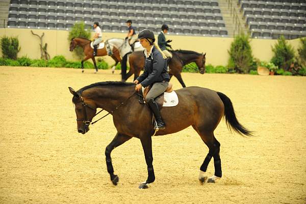 USHJA-Derby-8-19-10-Schooling-DER_6761-DDeRosaPhoto.JPG