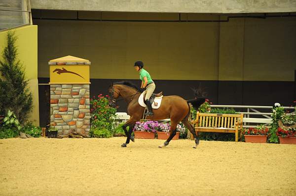 USHJA-Derby-8-19-10-Schooling-DER_6779-DDeRosaPhoto.JPG