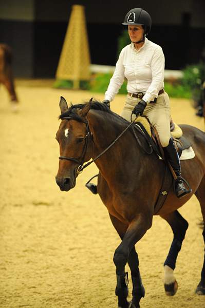 USHJA-Derby-8-19-10-Schooling-DER_6783-DDeRosaPhoto.JPG