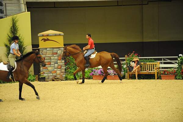 USHJA-Derby-8-19-10-Schooling-DER_6785-DDeRosaPhoto.JPG