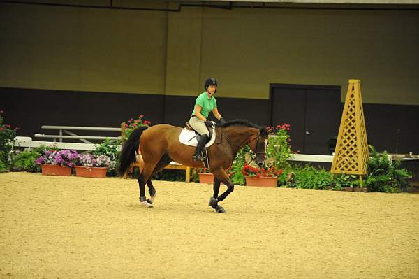 USHJA-Derby-8-19-10-Schooling-DER_6787-DDeRosaPhoto.JPG