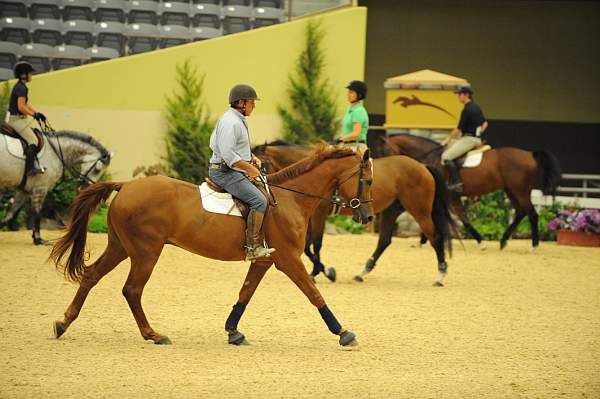 USHJA-Derby-8-19-10-Schooling-DER_6790-DDeRosaPhoto.JPG