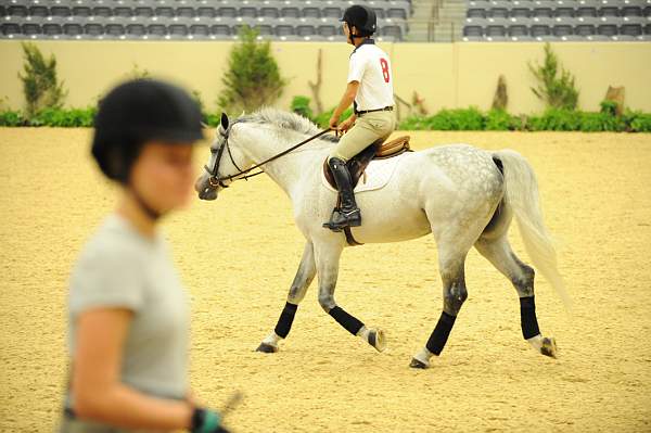 USHJA-Derby-8-19-10-Schooling-DER_6800-DDeRosaPhoto.JPG