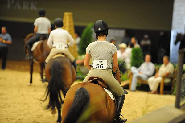 USHJA-Derby-8-19-10-Schooling-DER_6802-DDeRosaPhoto.JPG