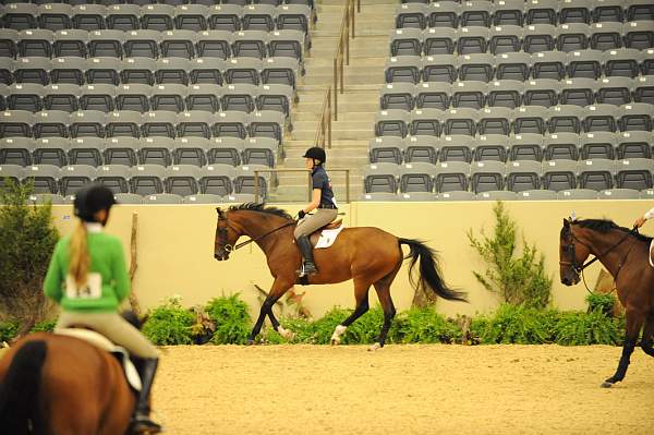 USHJA-Derby-8-19-10-Schooling-DER_6807-DDeRosaPhoto.JPG