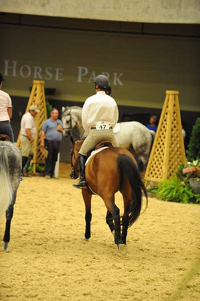 USHJA-Derby-8-19-10-Schooling-DER_6809-DDeRosaPhoto.JPG