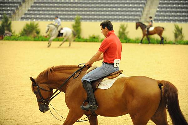 USHJA-Derby-8-19-10-Schooling-DER_6811-DDeRosaPhoto.JPG