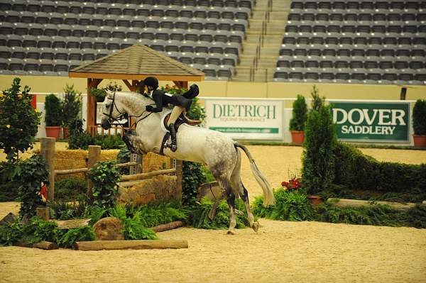 USHJA-Derby-8-20-10-DER_7463-QRnd1-Valedictorian-LillieKeenan-DDeRosaPhoto.jpg