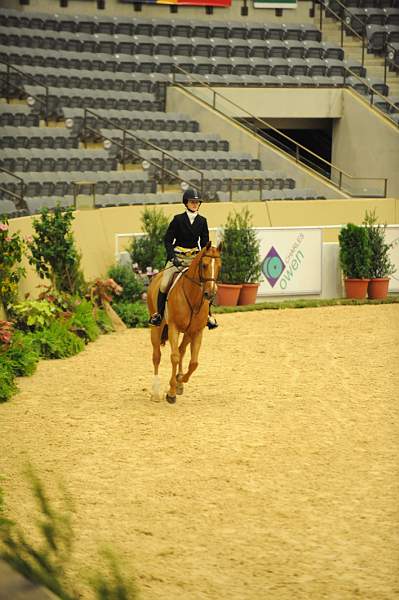 USHJA-Derby-8-20-10-DER_7479-QRnd1-Sander-MaggieJayne-DDeRosaPhoto.jpg