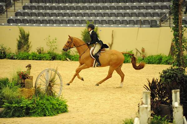 USHJA-Derby-8-20-10-DER_7489-QRnd1-Sander-MaggieJayne-DDeRosaPhoto.jpg