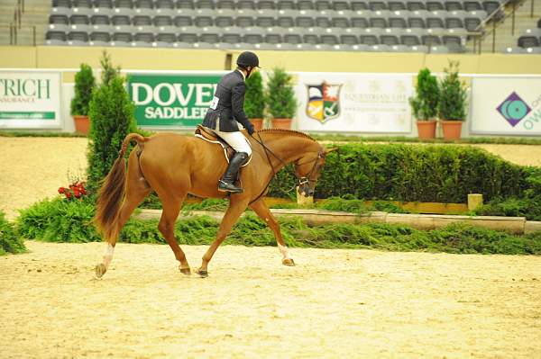 USHJA-Derby-8-20-10-DER_7541-QRnd1-DueWest-ShaneSweetnam-DDeRosaPhoto.jpg