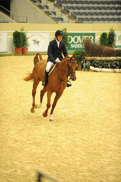 USHJA-Derby-8-20-10-DER_7545-QRnd1-DueWest-ShaneSweetnam-DDeRosaPhoto.jpg