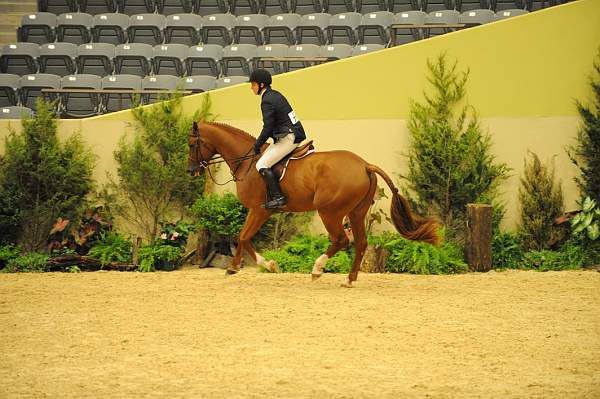 USHJA-Derby-8-20-10-DER_7553-QRnd1-DueWest-ShaneSweetnam-DDeRosaPhoto.jpg