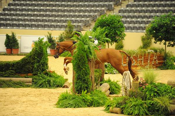 USHJA-Derby-8-20-10-DER_7554-QRnd1-DueWest-ShaneSweetnam-DDeRosaPhoto.jpg