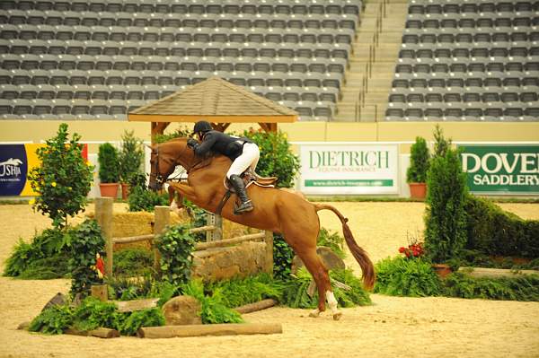 USHJA-Derby-8-20-10-DER_7555-QRnd1-DueWest-ShaneSweetnam-DDeRosaPhoto.jpg