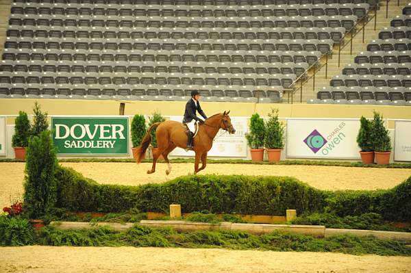 USHJA-Derby-8-20-10-DER_7556-QRnd1-DueWest-ShaneSweetnam-DDeRosaPhoto.jpg