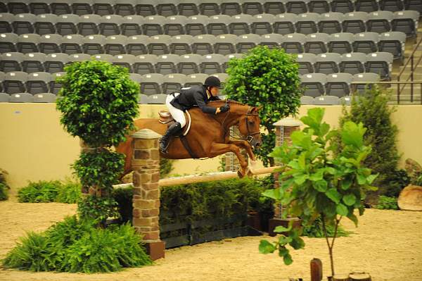 USHJA-Derby-8-20-10-DER_7558-QRnd1-DueWest-ShaneSweetnam-DDeRosaPhoto.jpg