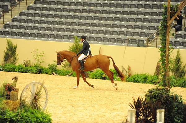 USHJA-Derby-8-20-10-DER_7560-QRnd1-DueWest-ShaneSweetnam-DDeRosaPhoto.jpg