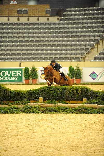 USHJA-Derby-8-20-10-DER_7562-QRnd1-DueWest-ShaneSweetnam-DDeRosaPhoto.jpg