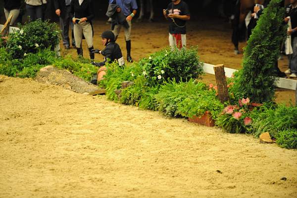 USHJA-Derby-8-20-10-DER_7565-QRnd1-DueWest-ShaneSweetnam-DDeRosaPhoto.jpg