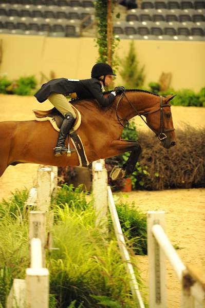 USHJA-Derby-8-20-10-DER_7615-QRnd1-Lavasco-PaigeBrodbeck-DDeRosaPhoto.jpg