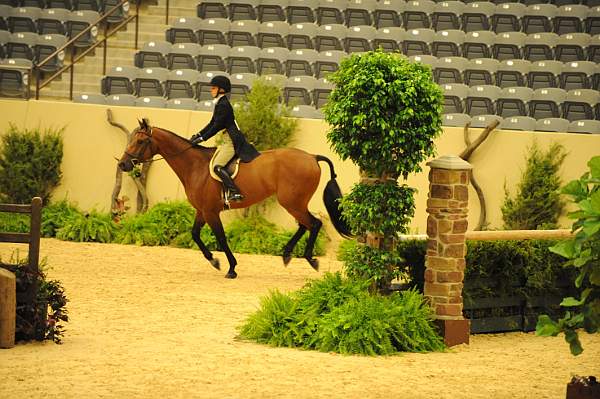 USHJA-Derby-8-20-10-DER_7616-QRnd1-Lavasco-PaigeBrodbeck-DDeRosaPhoto.jpg