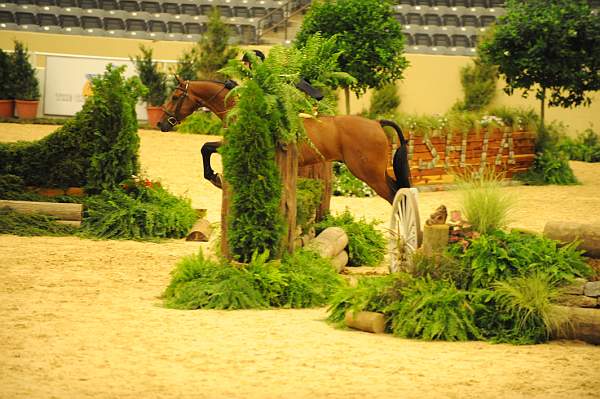 USHJA-Derby-8-20-10-DER_7617-QRnd1-Lavasco-PaigeBrodbeck-DDeRosaPhoto.jpg